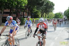 Img00180.jpg
