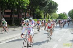 Img00181.jpg